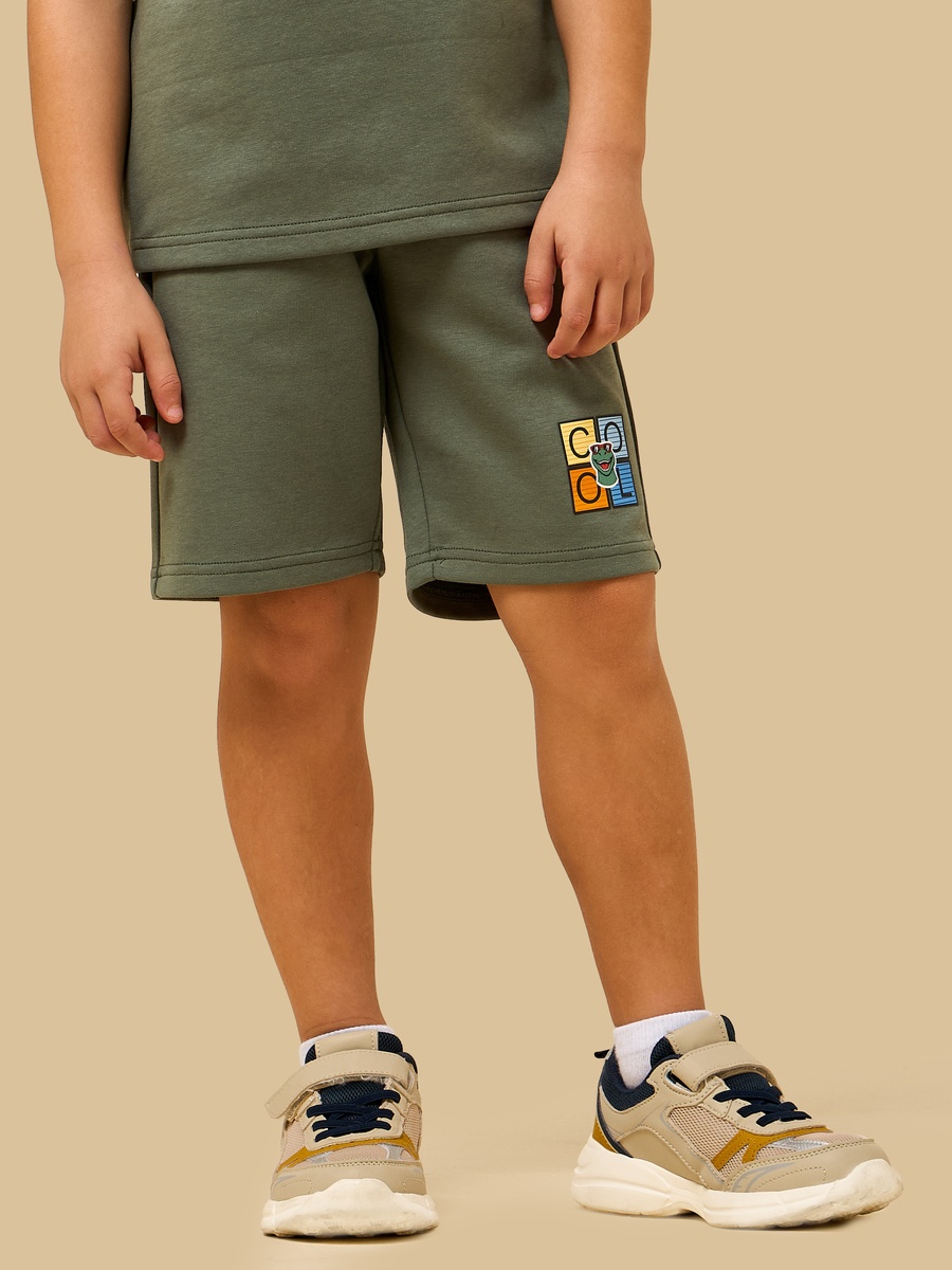 Dinosaur Print Cotton T-Shirt and Shorts Set