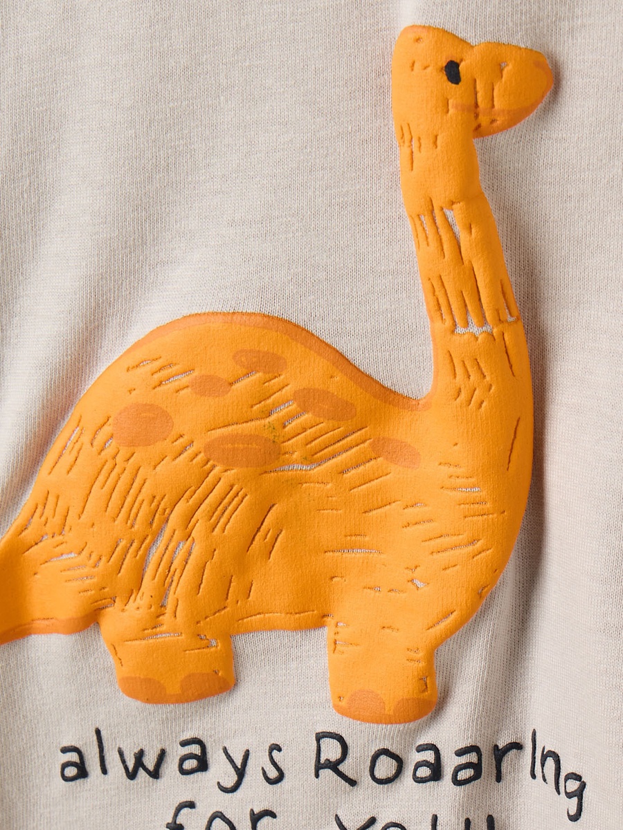 Dinosaur Applique T-Shirt and Shorts Set
