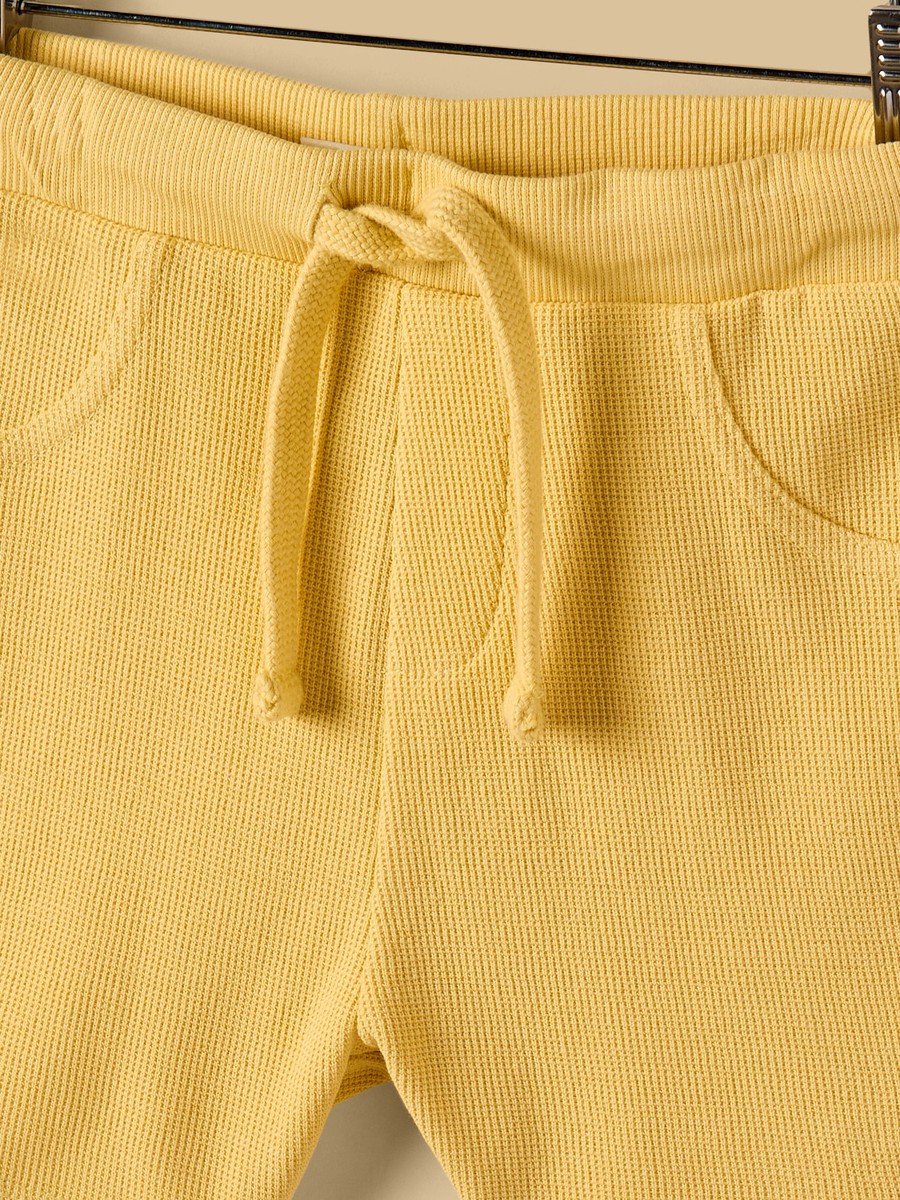 Textured 3D Applique Cotton T-Shirt and Shorts Set