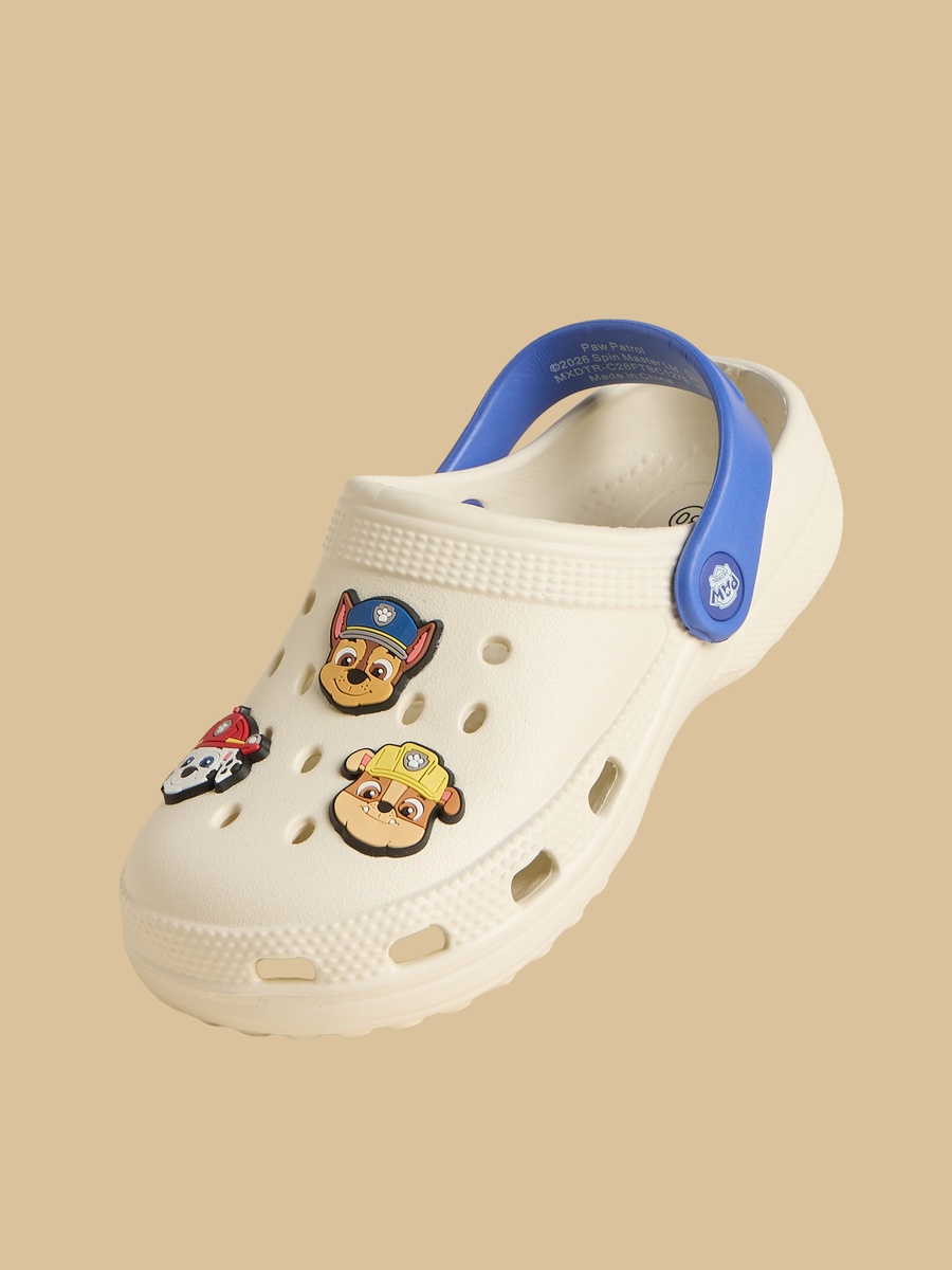 Paw Patrol Jibbitz Clogs
