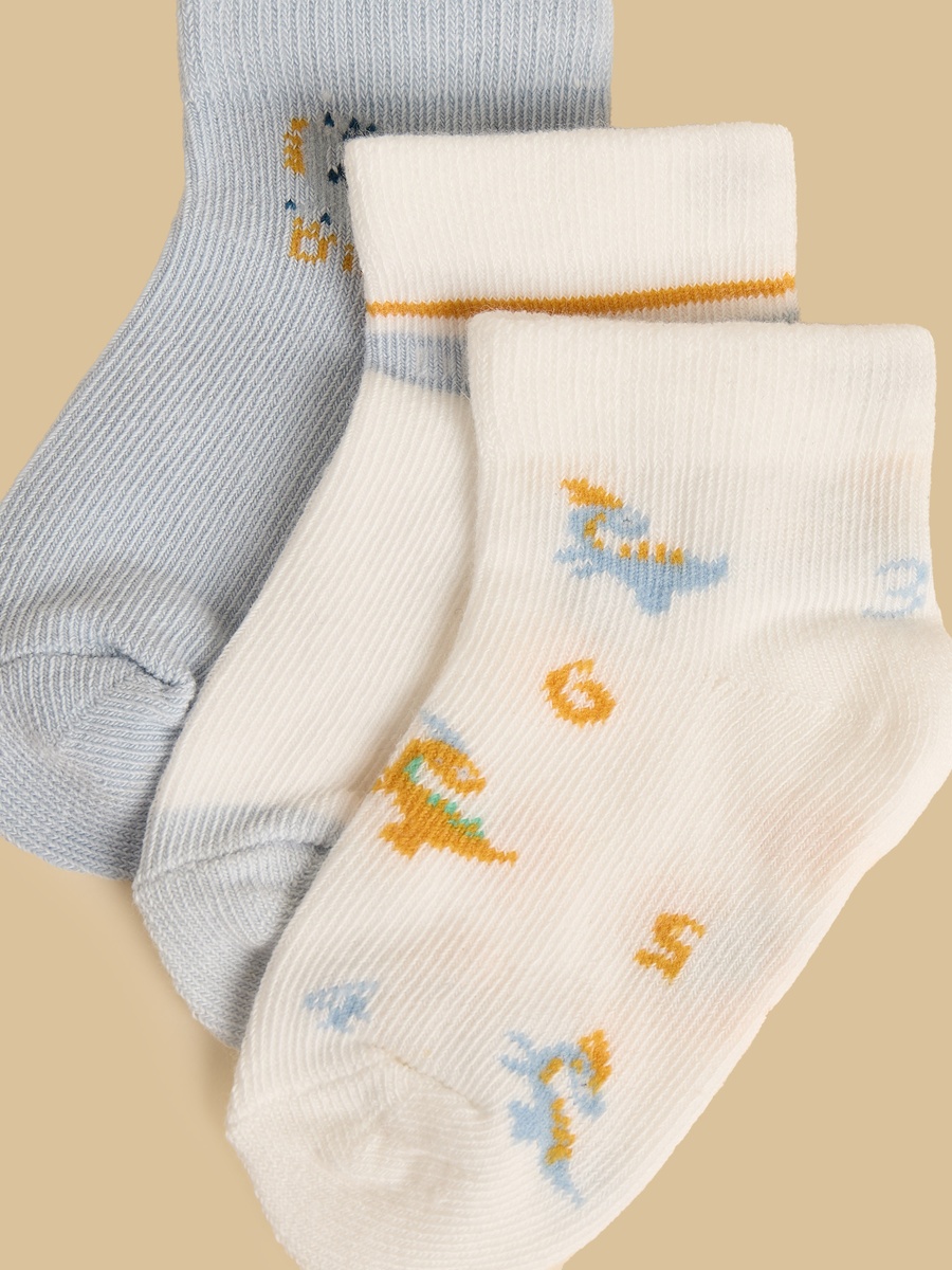 Pack of 3 - Dinosaur Print Ankle Length Socks