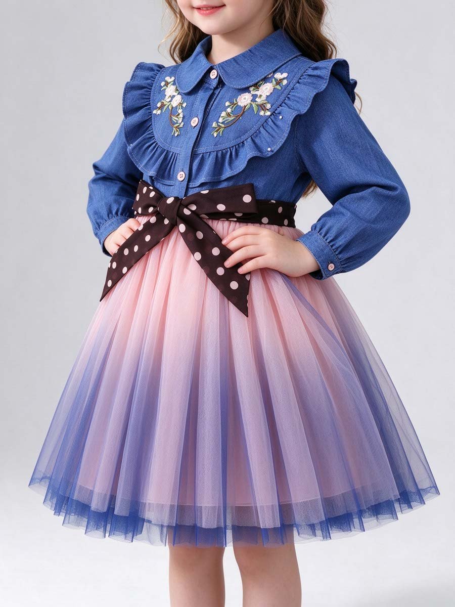 Denim and Tulle Fit and Flare Dress