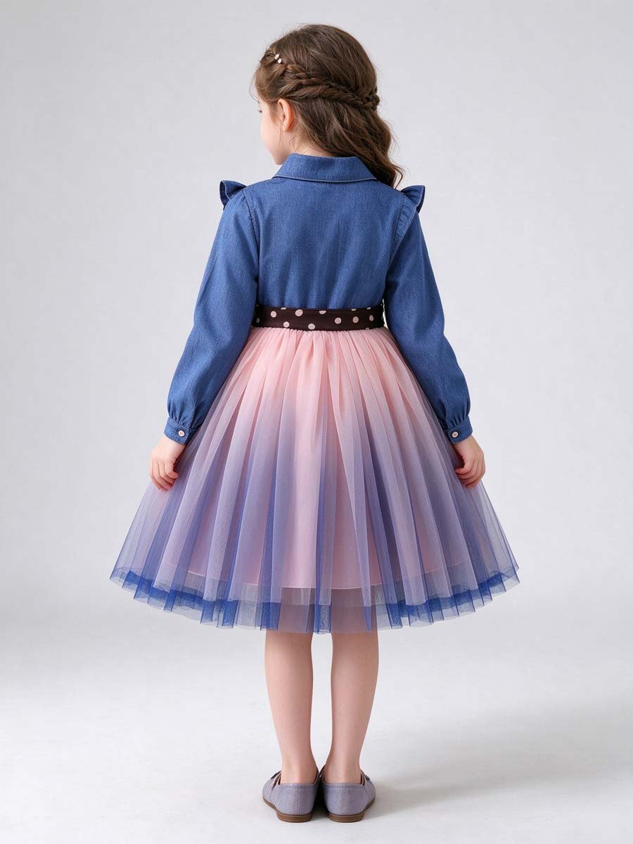 Denim and Tulle Fit and Flare Dress