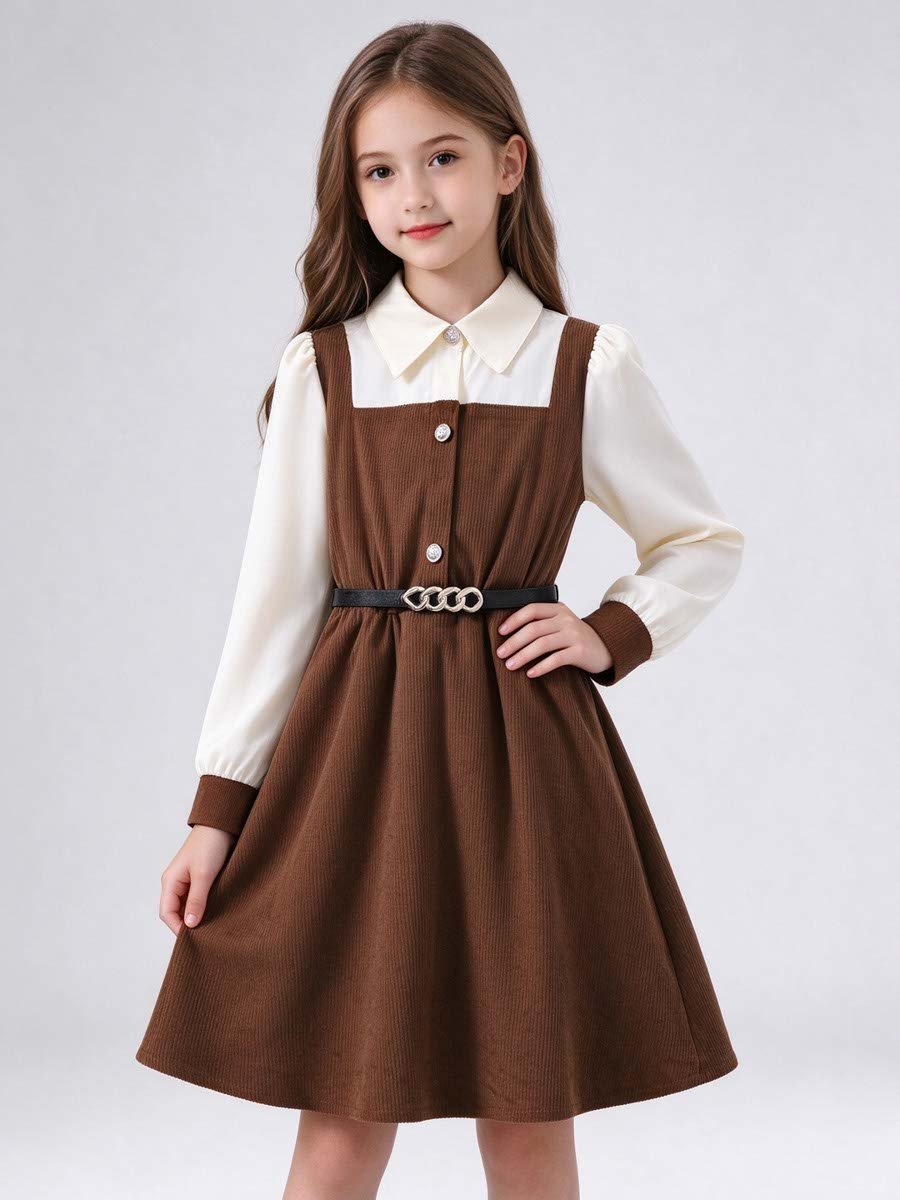 Coffee Brown Corduroy Dress with Long Sleeves