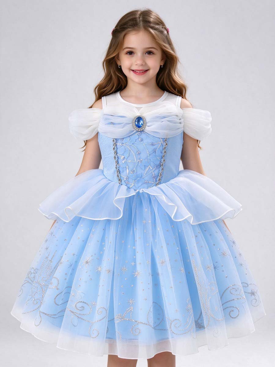 Princess Cinderella Costume Dress