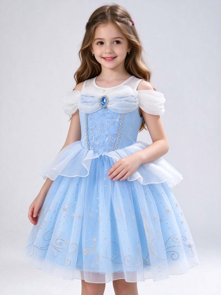 Princess Cinderella Costume Dress