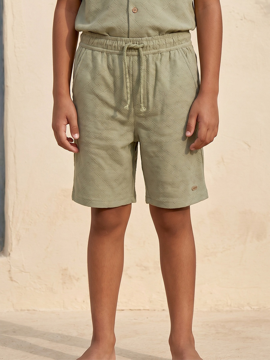 Collared Short Sleeves Shirt and Shorts Set with Textured Design