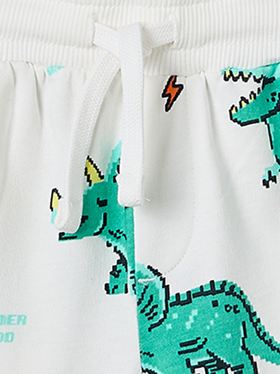 Crew Neck Short Sleeves T-Shirt and Shorts Set with Dinosaur Print