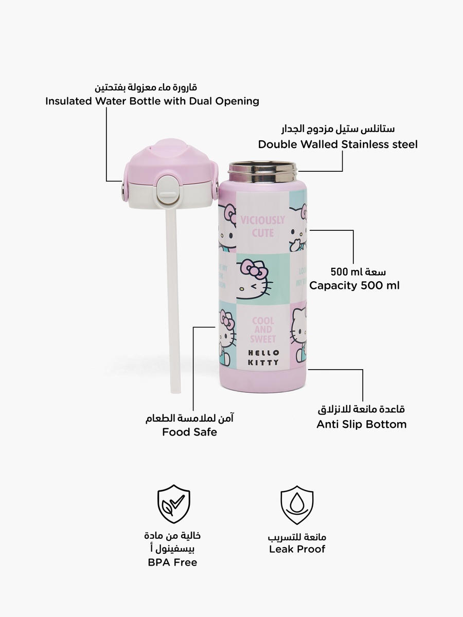 Hello Kitty Print Stainless Steel Water Bottle with Spout and Carry Loop