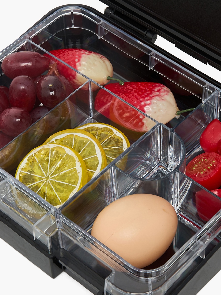 Printed Lunch Box with Compartments