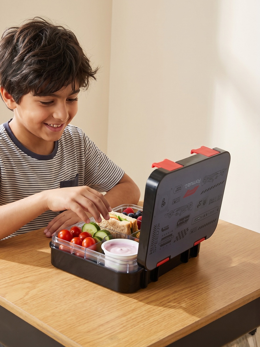 Printed Lunch Box with Compartments