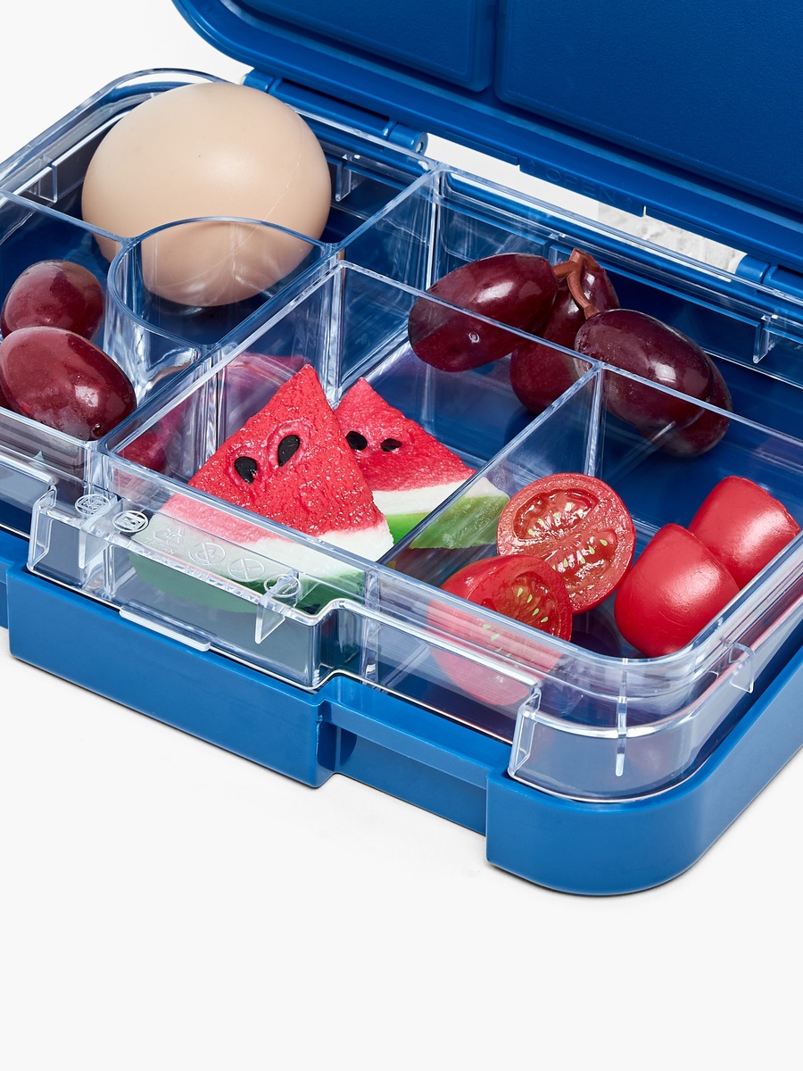 Printed Bento Lunch Box with Clip Lock Lid - 750 ml