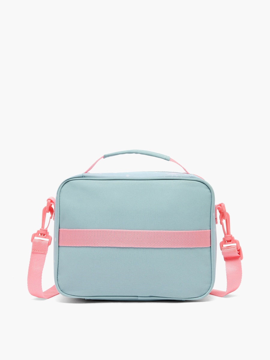 Frozen Lunch Bag with Insulation