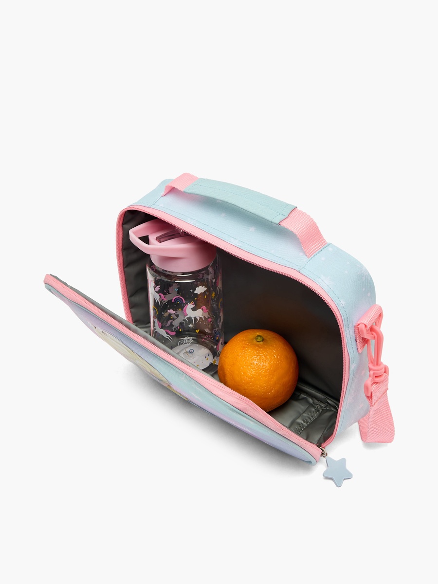 Frozen Lunch Bag with Insulation