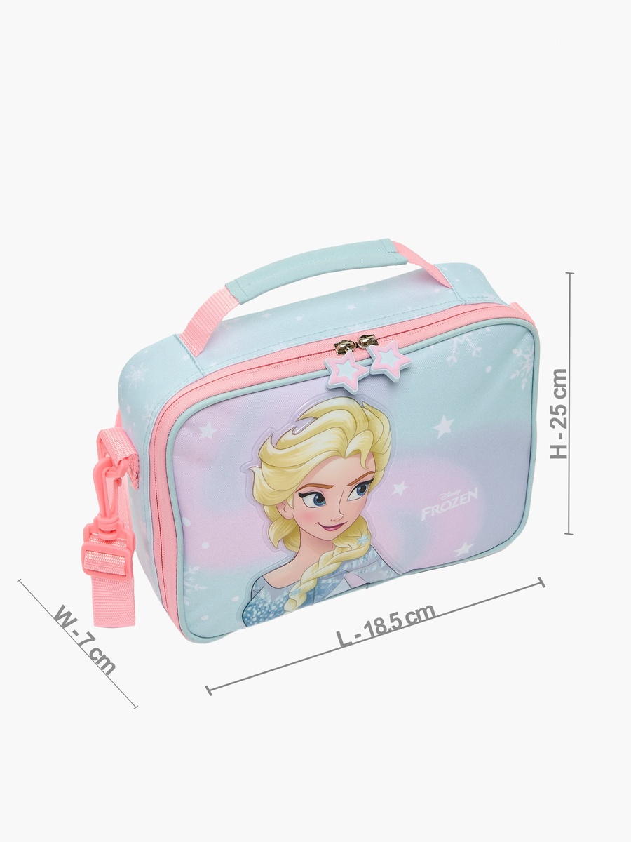 Frozen Lunch Bag with Insulation