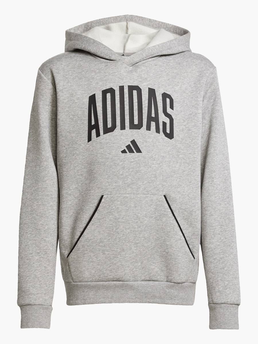 Boys Hooded Sweatshirt with Logo Print and Long Sleeves