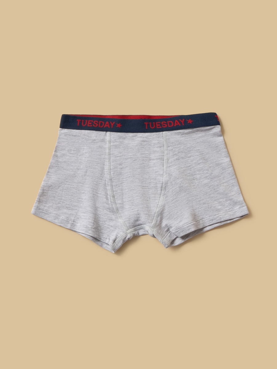 Pack of 10 - Printed Waistband Briefs