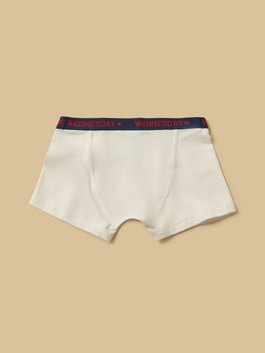 Pack of 10 - Printed Waistband Briefs
