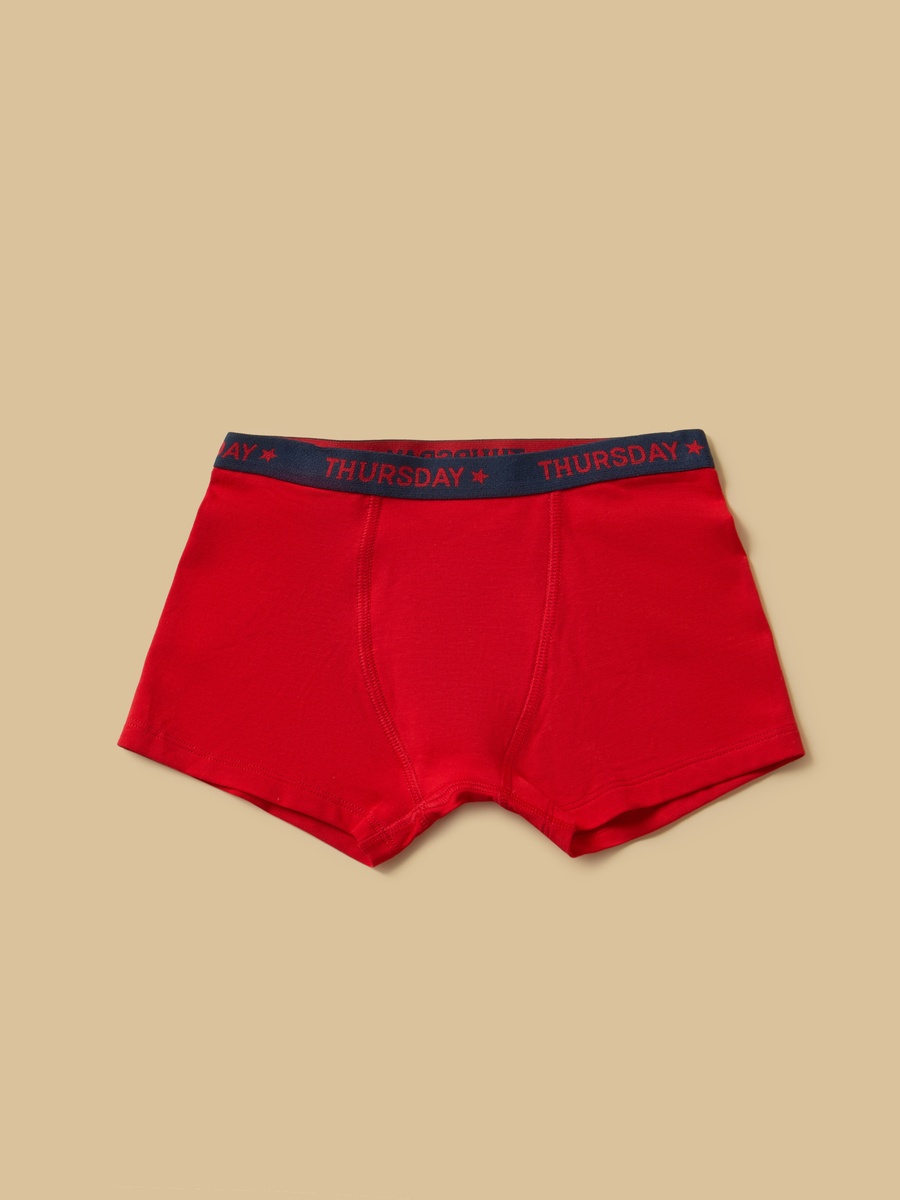 Pack of 10 - Printed Waistband Briefs