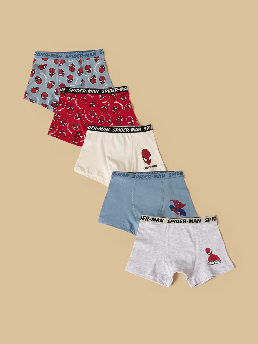 Pack of 5 - Spider-Man Print Briefs