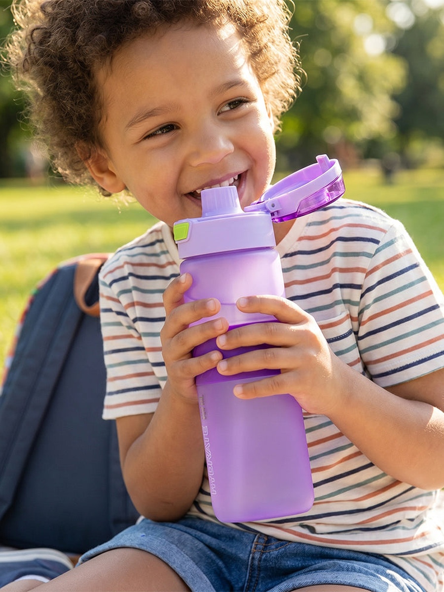 Tritan Bottle with Spout Lid and Handle - 850 ml