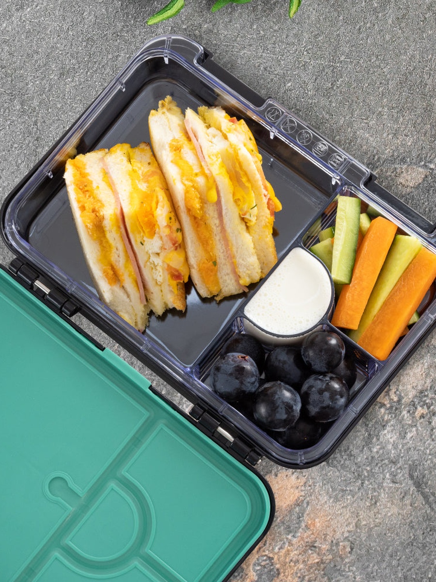 4 Compartment Leak Proof BPA Free Bento Lunch Box