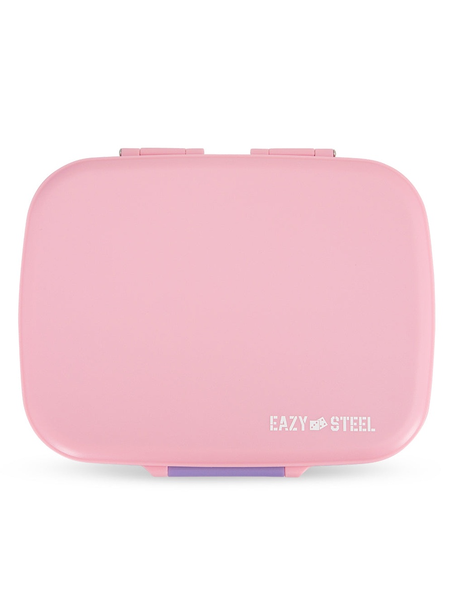 Premium Stainless Steel Lunch Box 710 ml with Insulated Lunch Bag