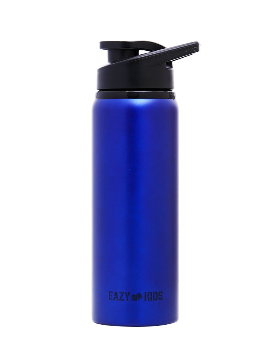 Stainless Steel Sports Water Bottle - Blue, 700ml