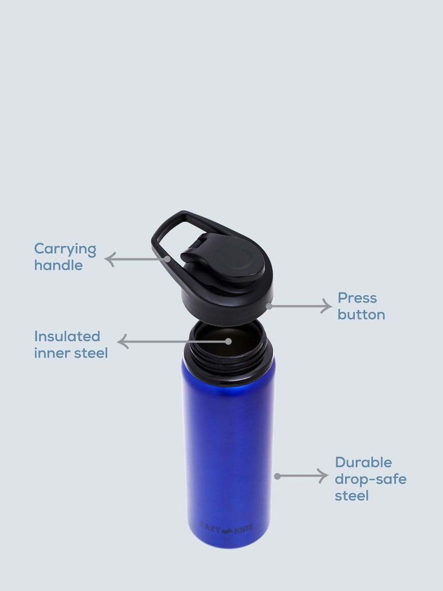 Stainless Steel Sports Water Bottle - Blue, 700ml