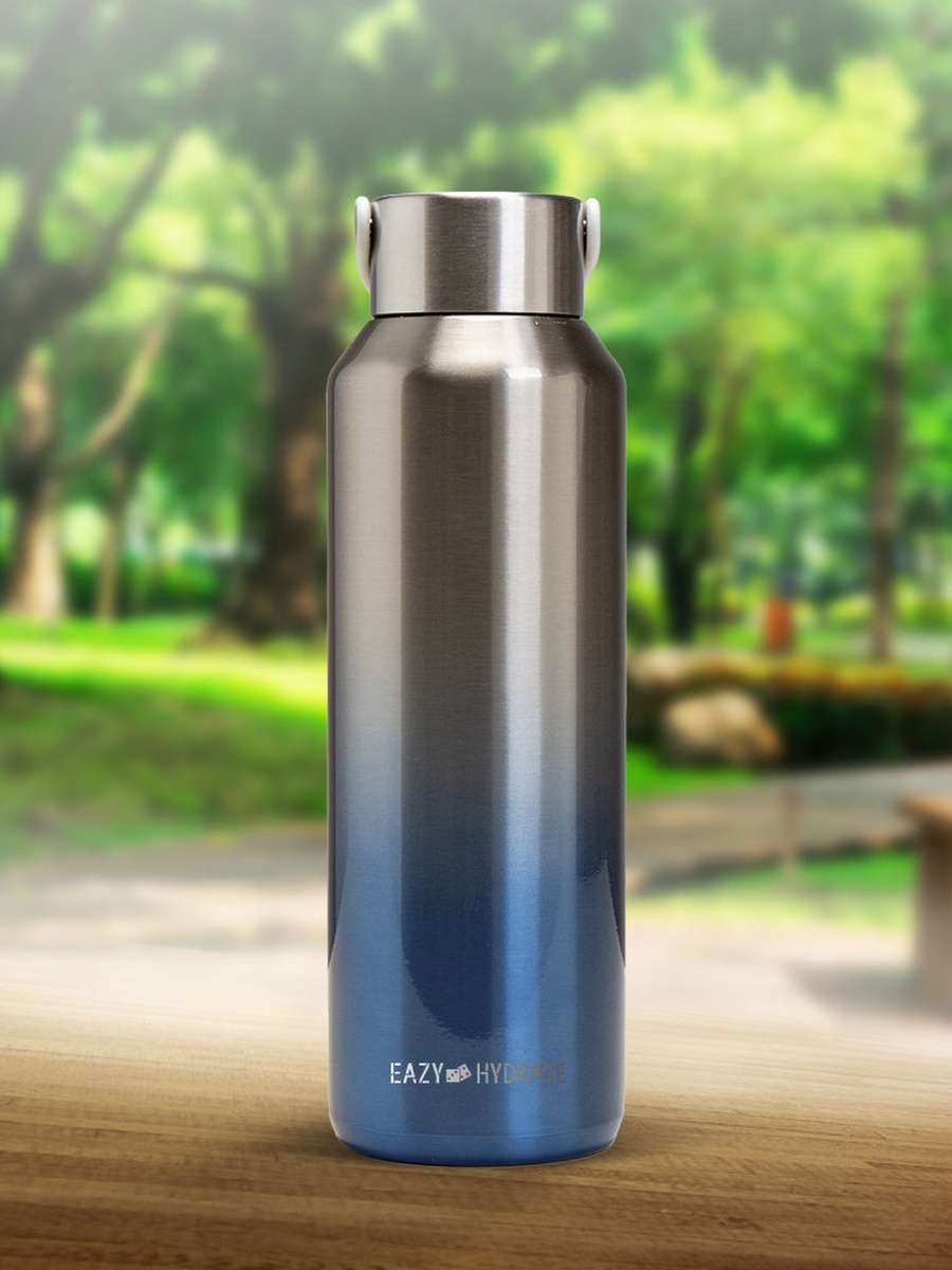 Stainless Steel Water Bottle, 710ml Silver