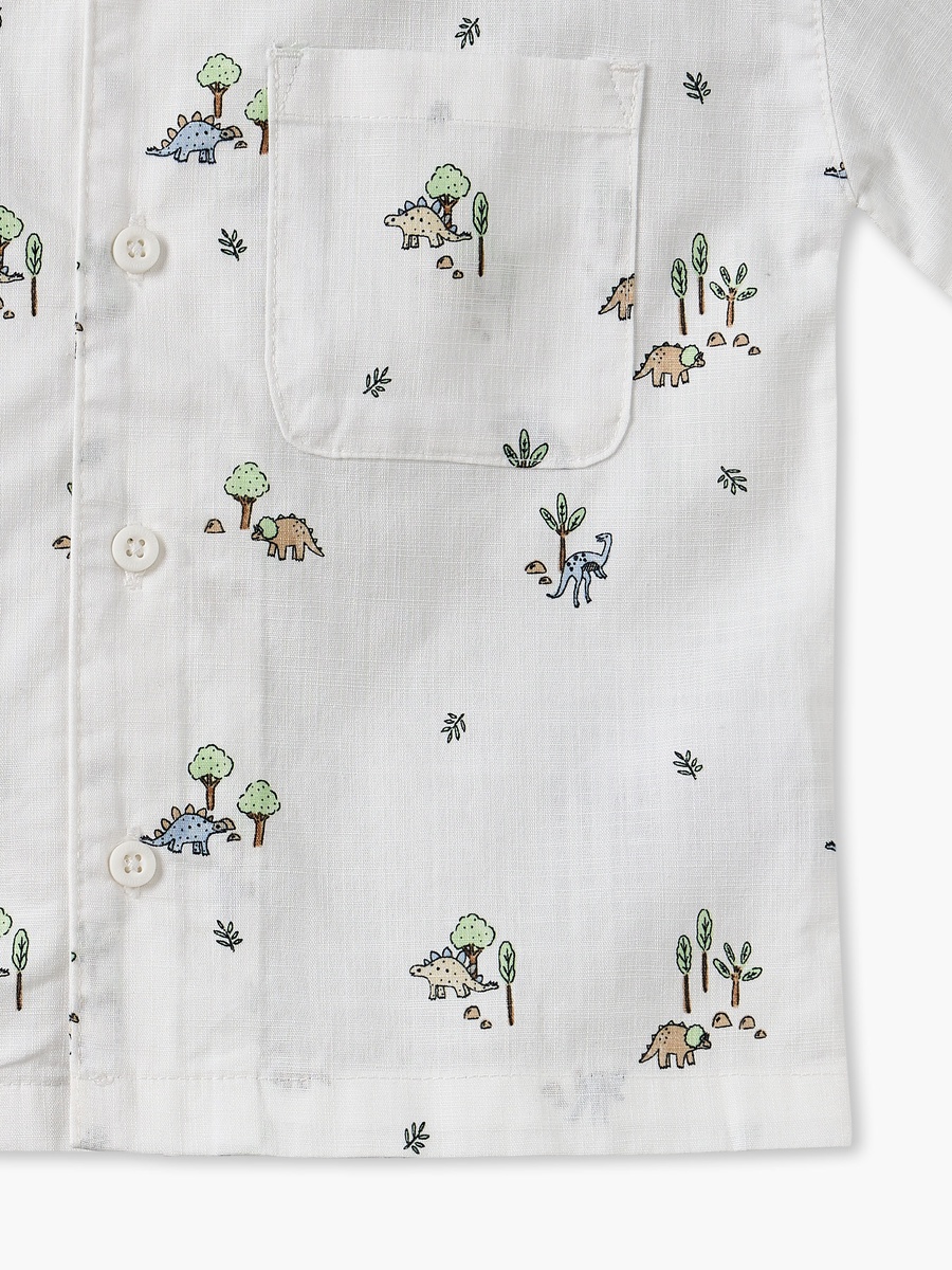 Collared Short Sleeves Shirt and Shorts Set with Dinosaur Print