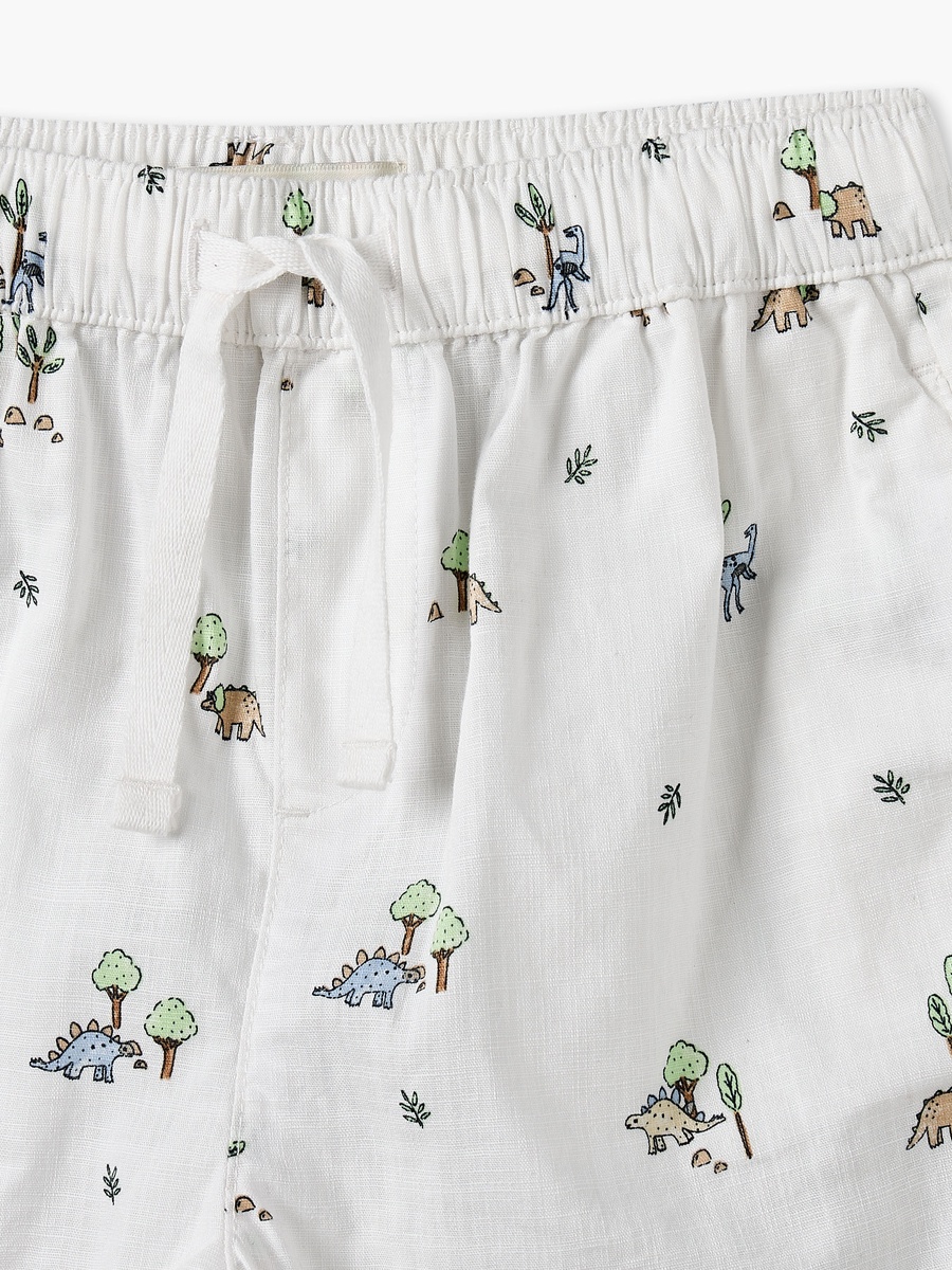 Collared Short Sleeves Shirt and Shorts Set with Dinosaur Print