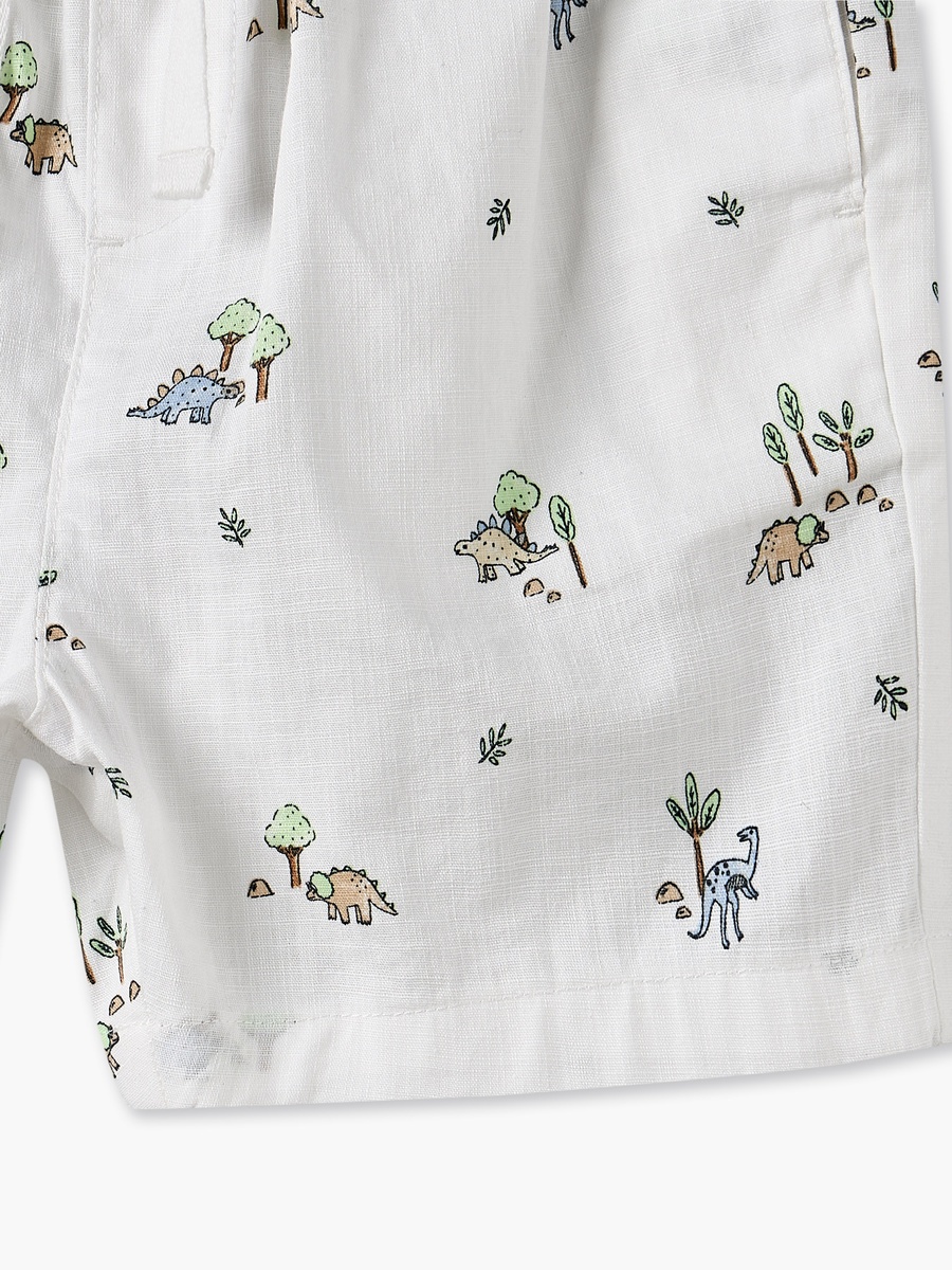 Collared Short Sleeves Shirt and Shorts Set with Dinosaur Print