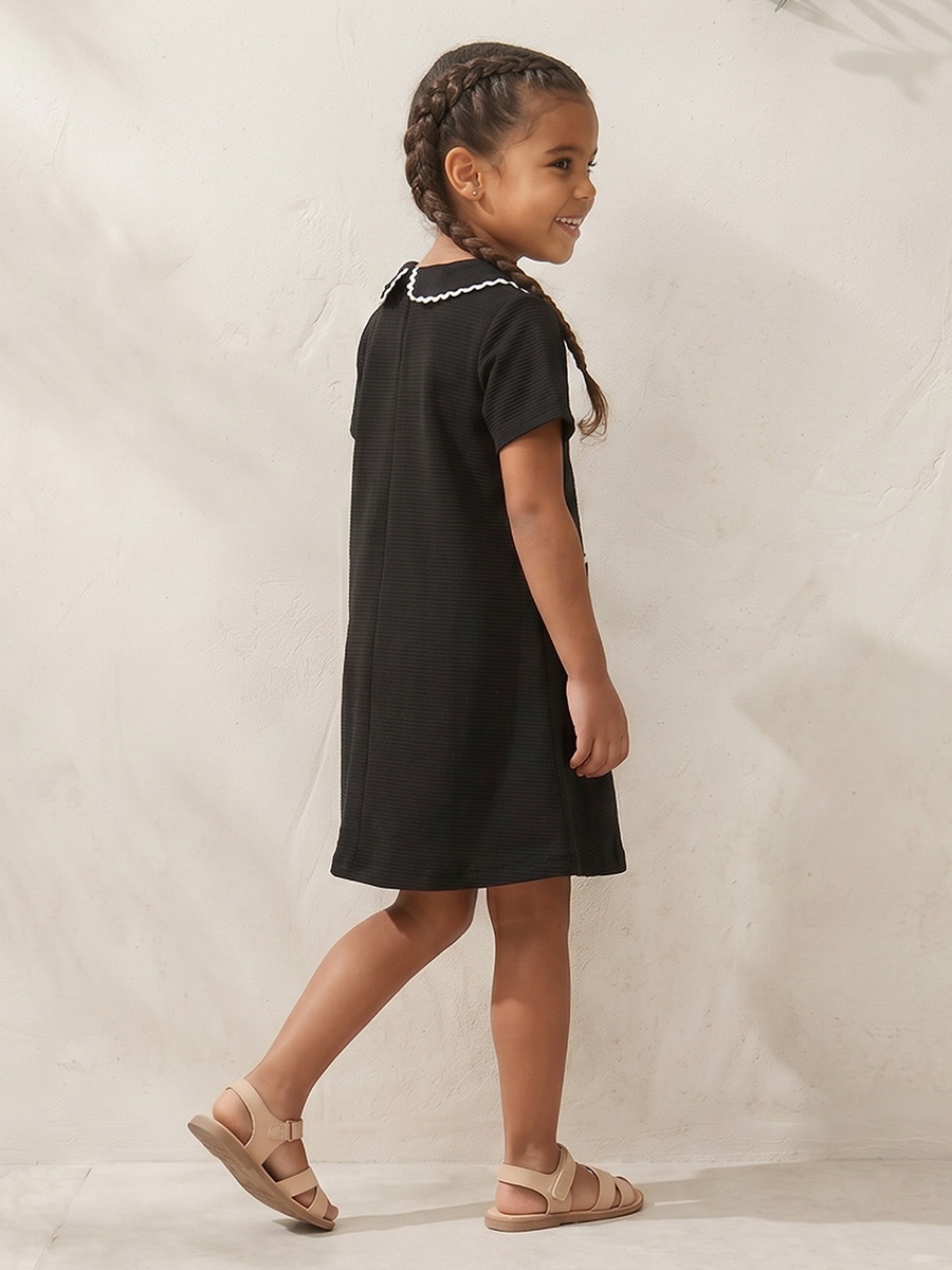 Peter Pan Collar Short Sleeves Knee Length Dress with Lace Trim