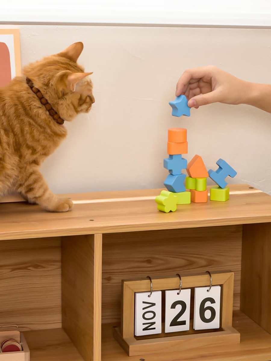 12 -Piece Wooden Activity Box Early Education Montessori - Multicolor