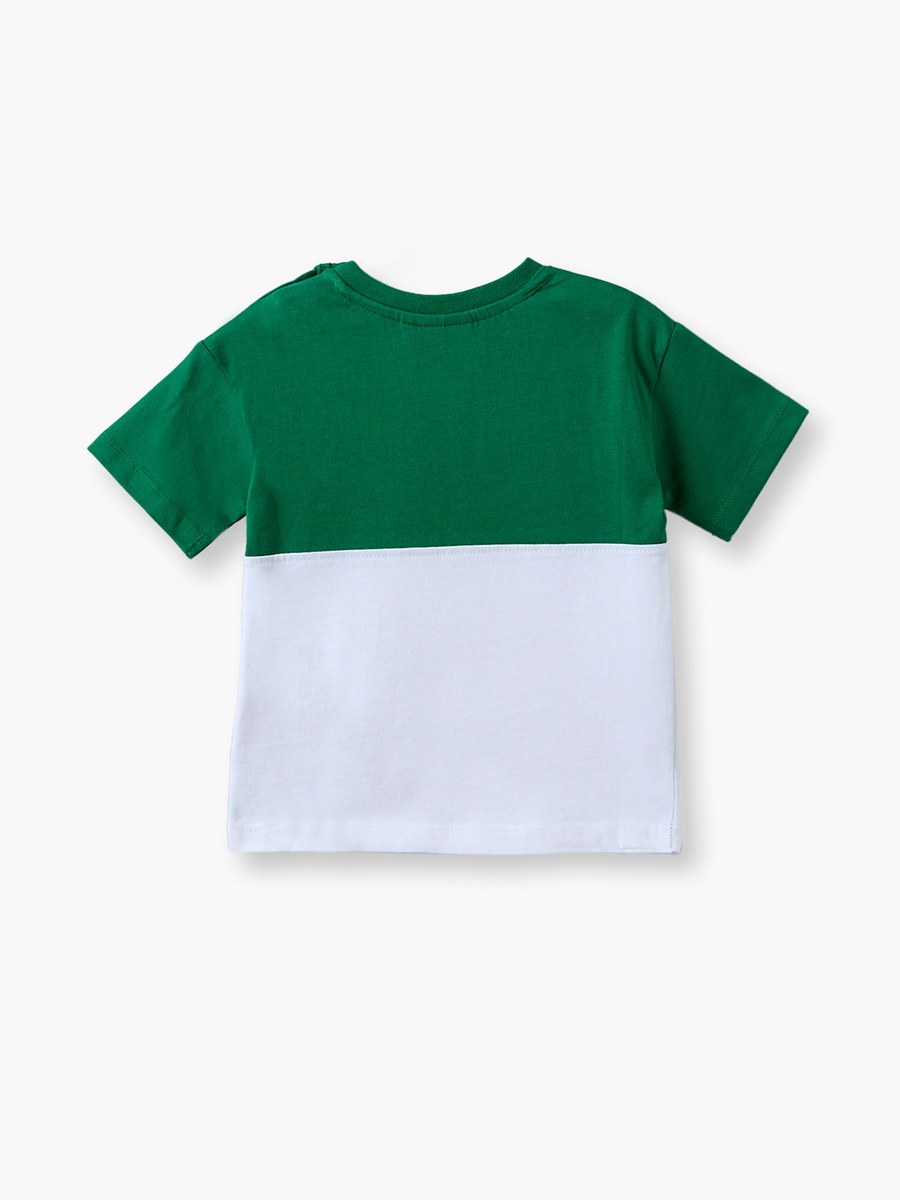 Crew Neck Short Sleeves T-Shirt and Joggers Set with KSA National Day Print