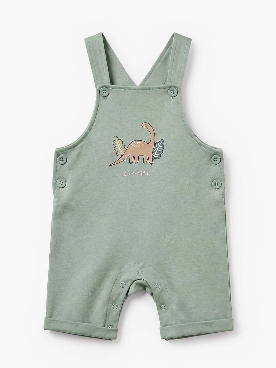Crew Neck Short Sleeves T-Shirt and Dungaree Set with Dinosaur Print