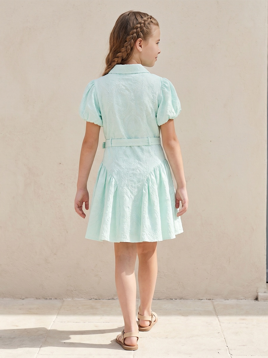 Collared Short Sleeves Knee Length Dress with Embroidery