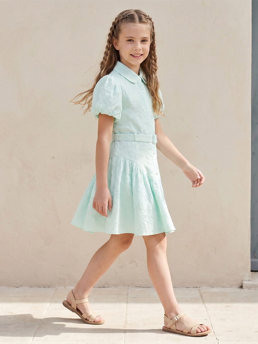 Collared Short Sleeves Knee Length Dress with Embroidery