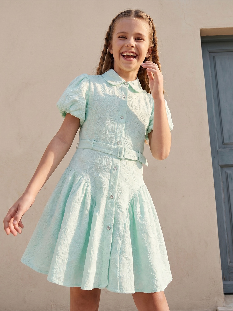 Collared Short Sleeves Knee Length Dress with Embroidery