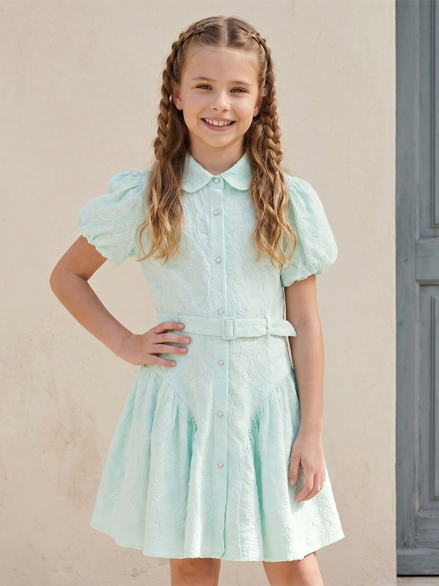 Collared Short Sleeves Knee Length Dress with Embroidery