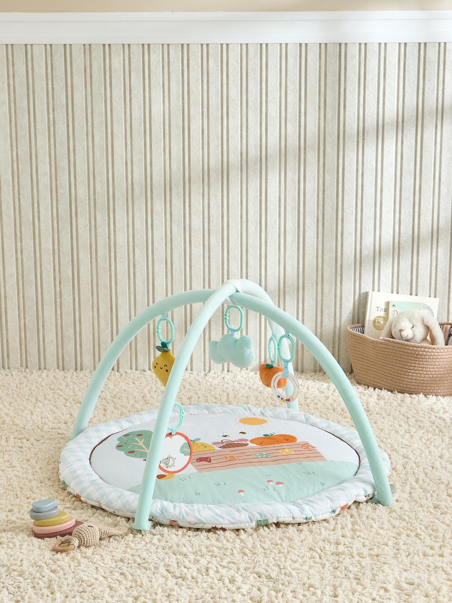 Fruit Applique Playgym