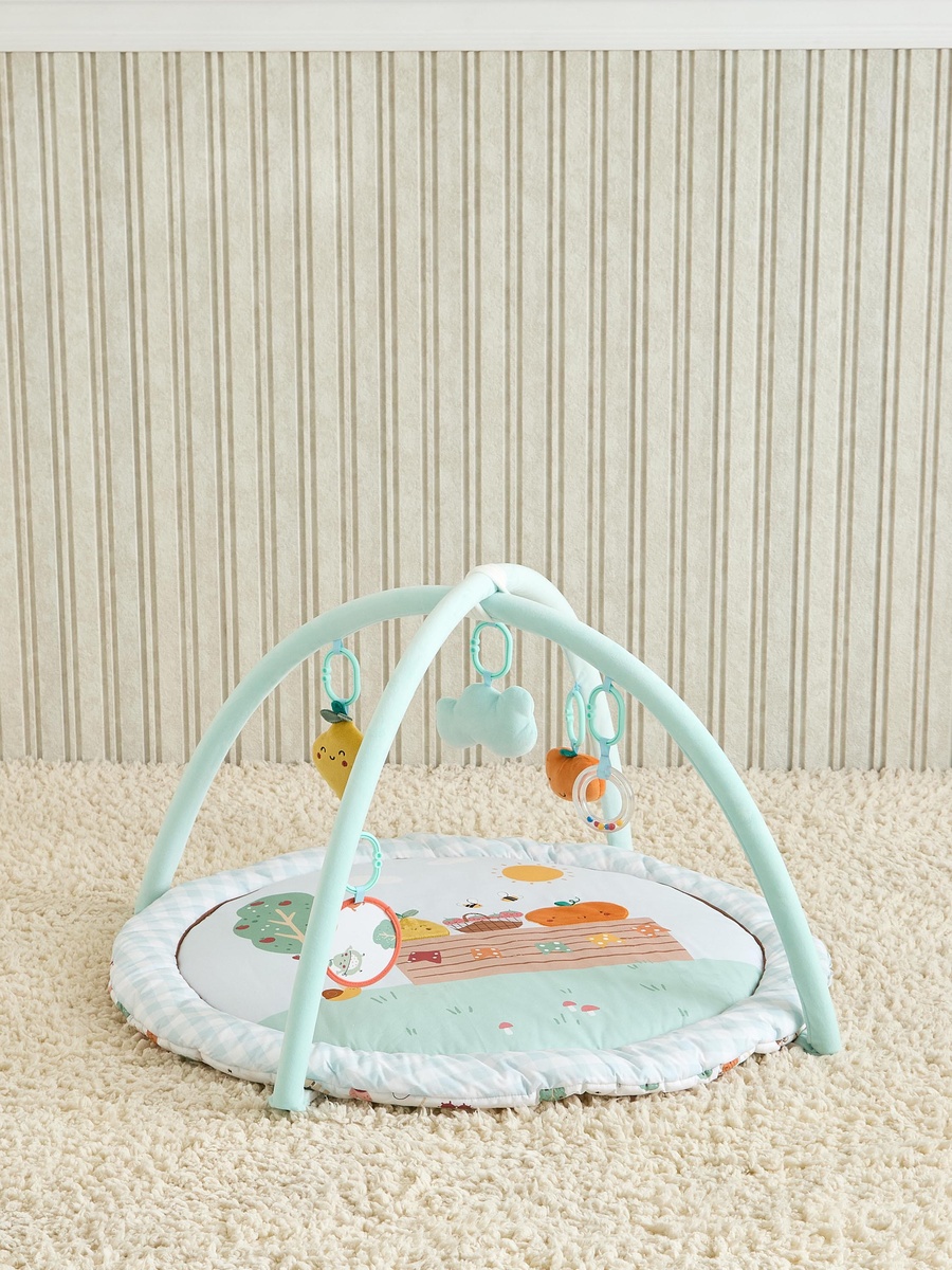 Fruit Applique Playgym