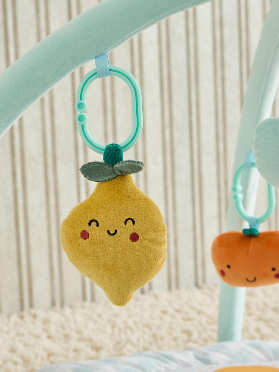 Fruit Applique Playgym