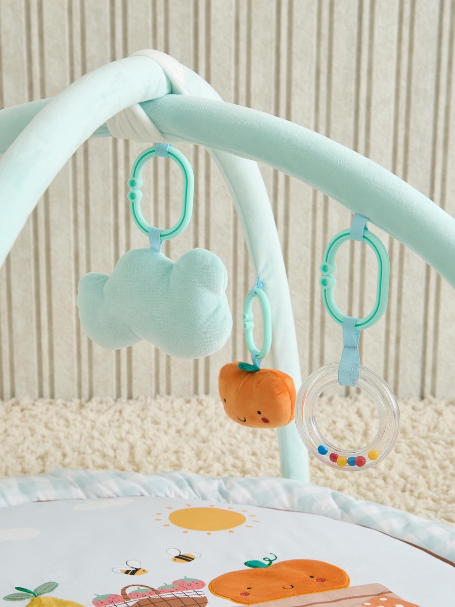 Fruit Applique Playgym