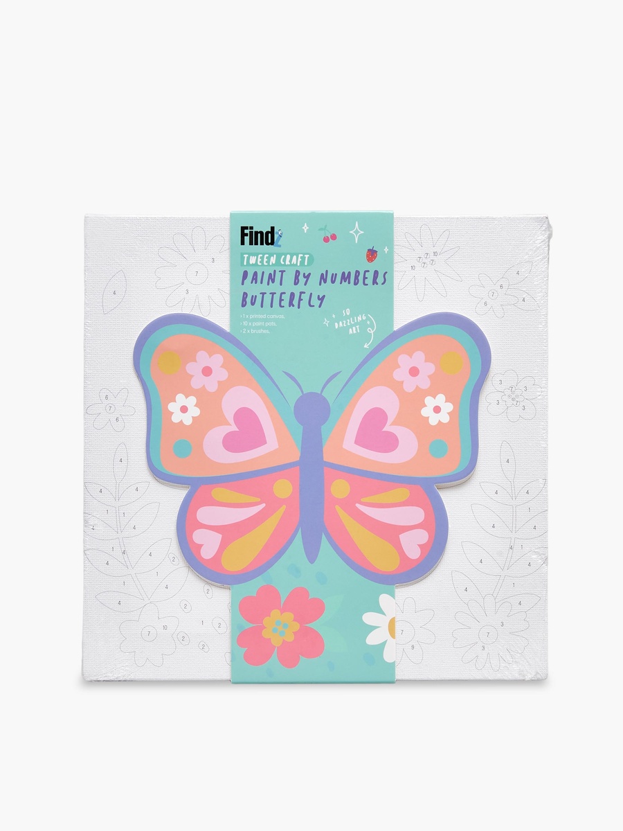 Findz Butterfly DIY Paint by Numbers Set