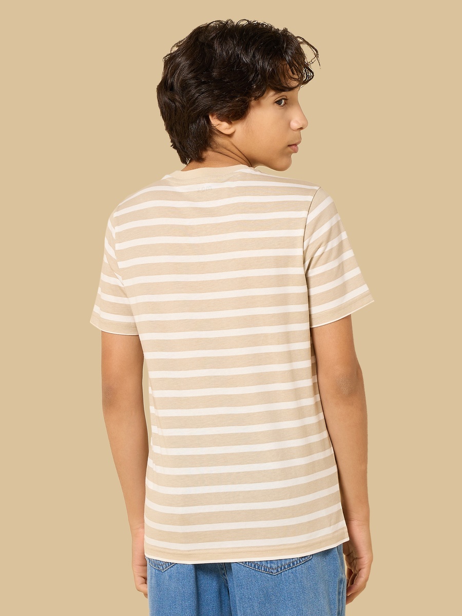 Pack of 3 - Assorted T-Shirt