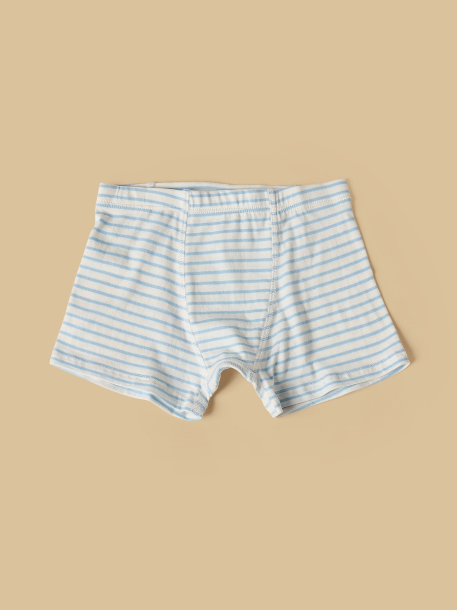 Pack of 5 - Dog Print Trunks
