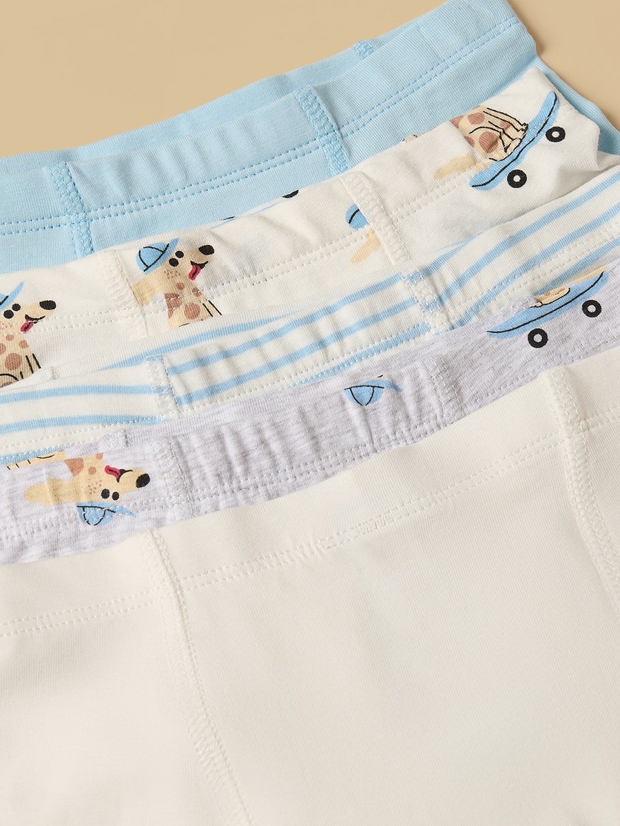 Pack of 5 - Dog Print Trunks