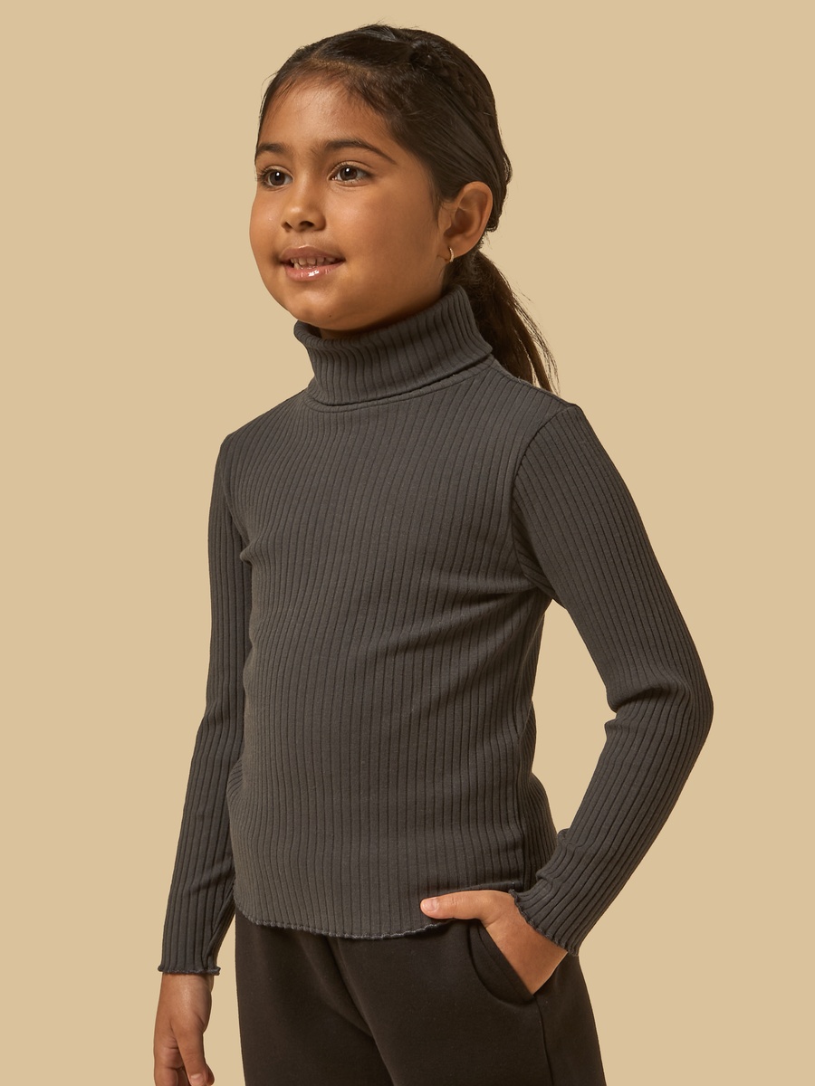 Ribbed Turtleneck Sweater